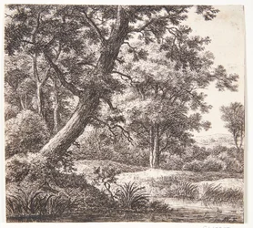 Brook with a Leaning Tree
