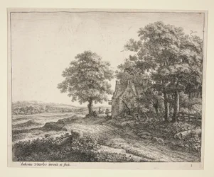 The Great Linden Tree in Front of