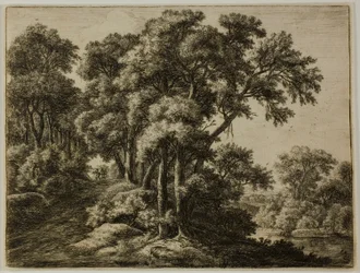 The Wooded Path