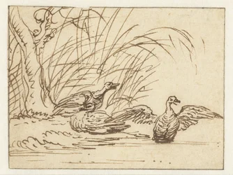 Three ducks by the waterside