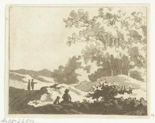Dune landscape