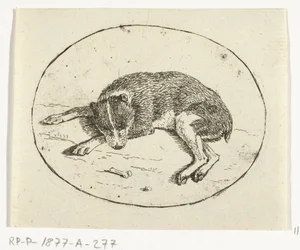 Lying Dog