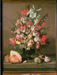 Unknown Image