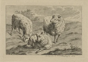 Three Sheep