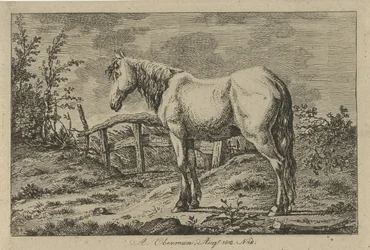 Standing Horse
