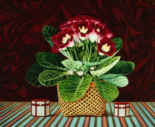 Gloxiana Still Life