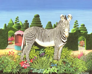 Zebra in a Garden