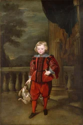A Boy Standing on a Terrace