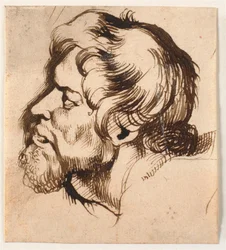 Head of a Man