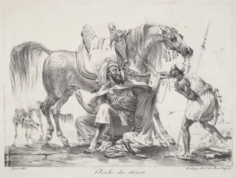 Desert Arab