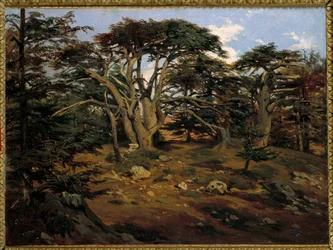 The Old Cedars on Mount Lebanon at Boumana