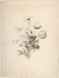 Floral Design
