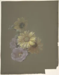 Yellow Daisies and Pink Wild Rose