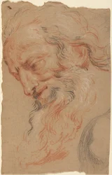 Head of an Old Man