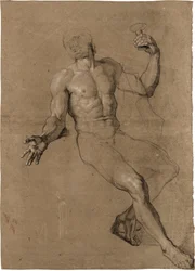 Study of a Male Seated Nude, for Bacchus