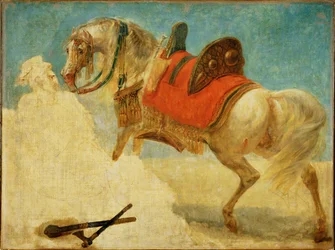 Study of an Arab Horse