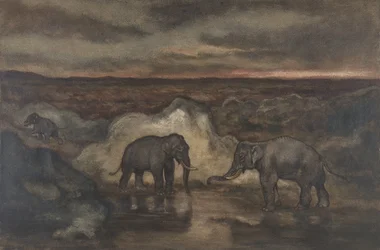 Elephants by a Pool