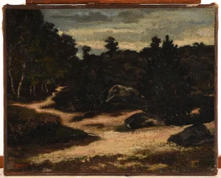 Sandy Path in Fontainebleau Forest