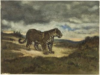Jaguar Standing