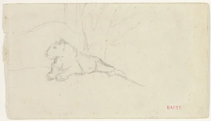 Lioness Lying near a Tree