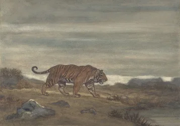 Tiger Approaching Pool, 1810-75