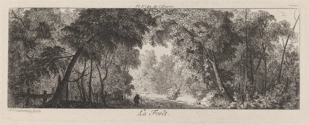 The Forest