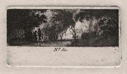 View of a Woods
