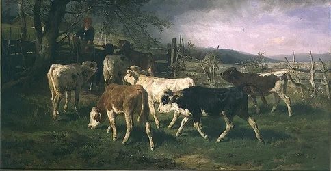 Girl at a gate with cattle