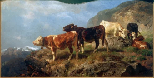 Cattle in the High Mountains