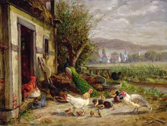 Chickens, Ducks and a Peacock by a Canal
