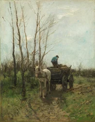 Gathering Wood