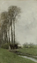 Horses by the Fence