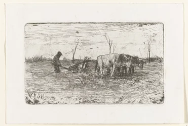 Plowing Oxen