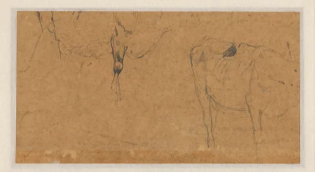 Two Sketches of Cows