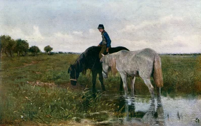 Watering Horses