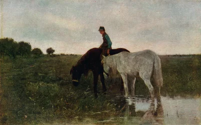 Watering Horses
