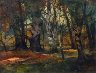 Autumn Forest