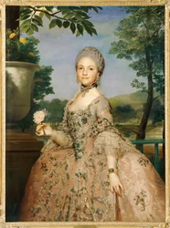 Marie-Louise de Parme, wife of her cousin