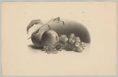 Apples, Berries, Blackberry, and Grapes (Flower and Fruit Studies, 3rd Issue)