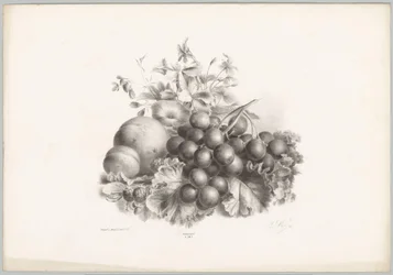 Flowers, Peach, Nectarine, Grapes, and Blackberries (Flower and Fruit Studies) (10th installment) (series title)