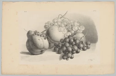 Pumpkin, Berries, Grapes, and Peaches (Flower and Fruit Studies, 3rd Issue)
