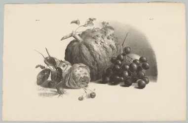 Pumpkin, Grapes, Rose and Strawberries (series title: Flower and Fruit Studies, 3rd installment)