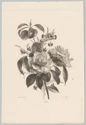 Roses and Other Flowers (Flower and Fruit Studies, 10th installment)