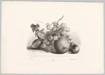 Figs, Grapes, and Orange