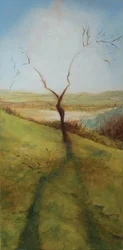 The kissing tree, 2013