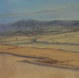 Zigzag Hedge, Somerset, 2022