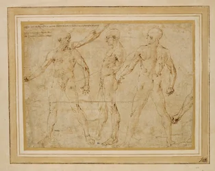 Three Male Nudes, Front, Back, Profile