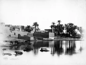 Luxor Seen from a Nile Boat