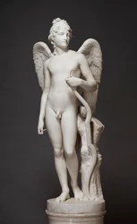 Cupid