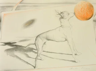 Space Dog